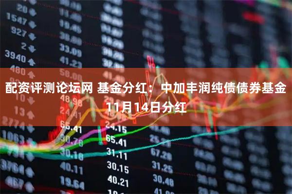 配资评测论坛网 基金分红：中加丰润纯债债券基金11月14日分红