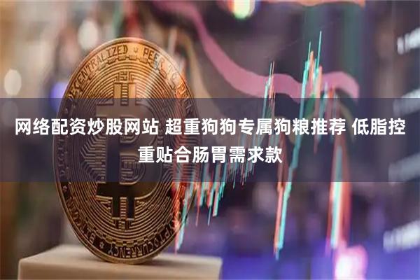 网络配资炒股网站 超重狗狗专属狗粮推荐 低脂控重贴合肠胃需求款