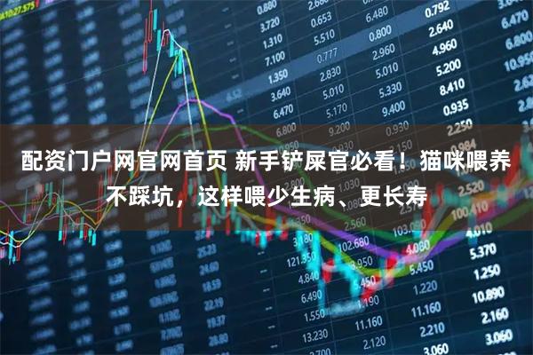 配资门户网官网首页 新手铲屎官必看！猫咪喂养不踩坑，这样喂少生病、更长寿